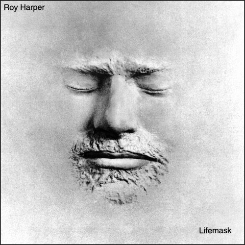 Roy Harper Lifemask