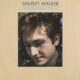 Sammy Walker Blue Ridge Mountain Skyline