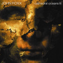 John Foxx Cathedral Oceans III