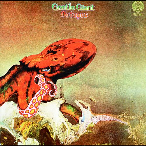 Gentle Giant Octopus