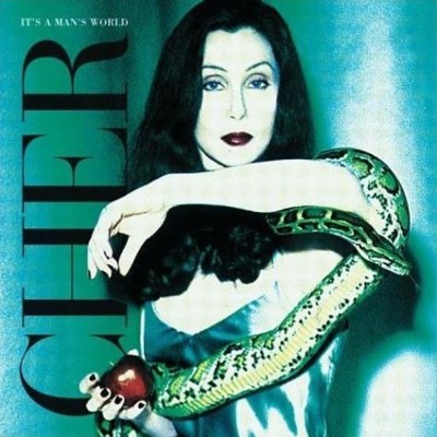 Cher It's a Man's World