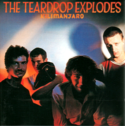 The Teardrop Explodes Kilimanjaro