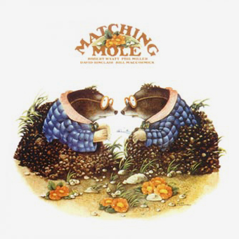 Matching Mole Matching Mole
