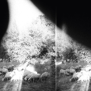 Godspeed You! Black Emperor Asunder, Sweet and Other Distress