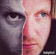Babybird Between My Ears There Is Nothing But Music