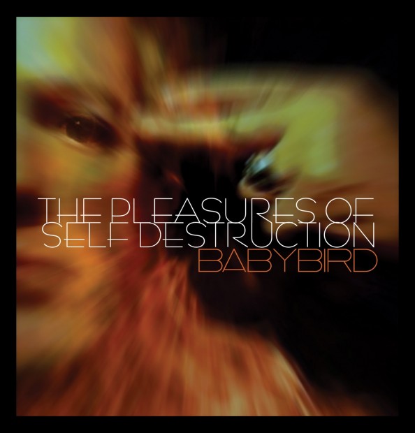 Babybird The Pleasures of Self Destruction