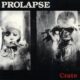 Prolapse Crate