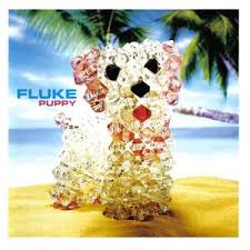 Fluke Puppy