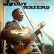 Muddy Waters At Newport 1960