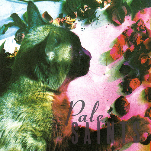 Pale Saints The Comforts of Madness