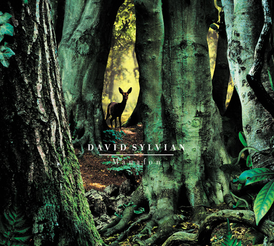 David Sylvian Manafon