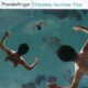 Powderfinger Odyssey Number Five
