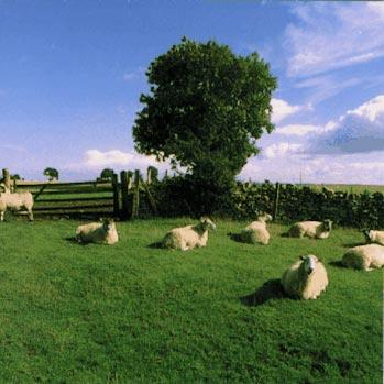 The KLF Chill Out