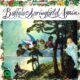 Buffalo Springfield Buffalo Springfield Again