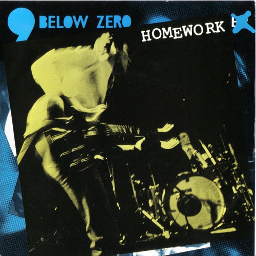 Nine Below Zero Homework