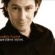 Roddy Frame Western Skies