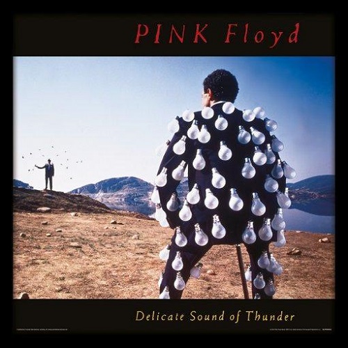 Pink Floyd Delicate Sound Of Thunder