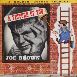 Joe Brown A Picture Of You