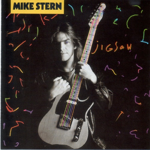 Mike Stern Jigsaw
