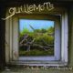 Guillemots Through The Windowpane